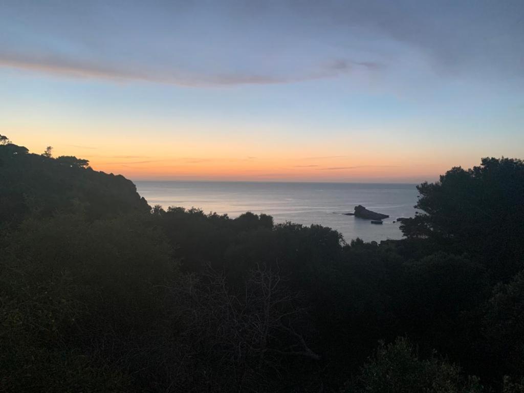 Le Case Vacanze Di Federico Terrasini Kültér fotó